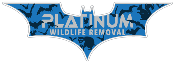 Zeeland Wildlife Removal